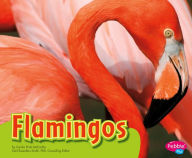 Flamingos