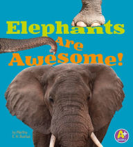 Elephants Are Awesome!