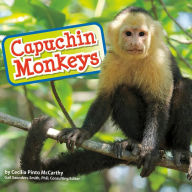 Capuchin Monkeys