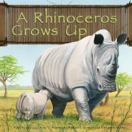 A Rhinoceros Grows Up