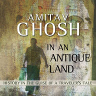 In an Antique Land : History in the Guise of a Traveler's Tale