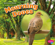 Mourning Doves