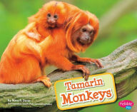 Tamarin Monkeys