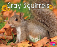 Gray Squirrels