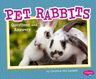 Pet Rabbits: Questions and Answers