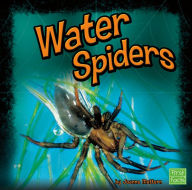 Water Spiders