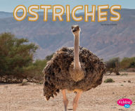 Ostriches