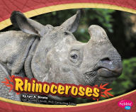 Rhinoceroses