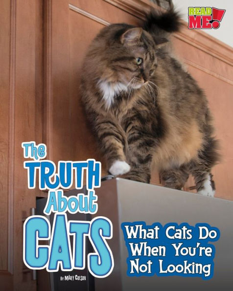 The Truth about Cats: What Cats Do When You're Not Looking