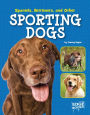 Spaniels, Retrievers, and Other Sporting Dogs