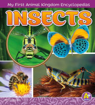 Insects