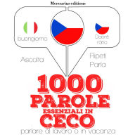 1000 parole essenziali in Ceco