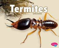 Termites