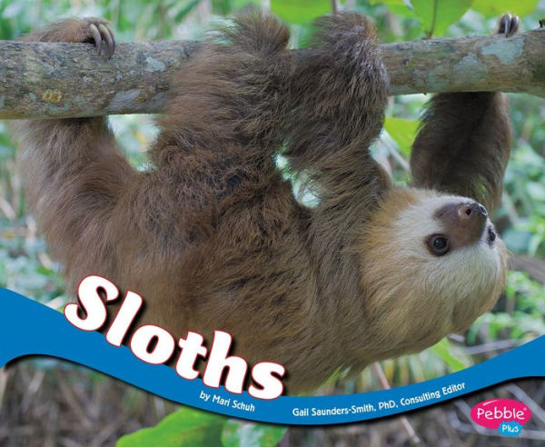 Sloths