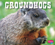 Groundhogs