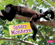 Spider Monkeys