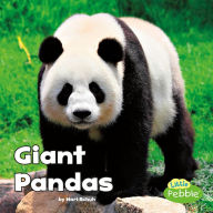 Giant Pandas