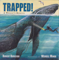 Trapped!: A Whale's Rescue