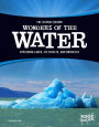 The Science Behind Wonders of the Water: Exploding Lakes, Ice Circles, and Brinicles