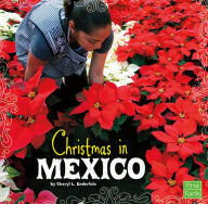 Christmas in Mexico