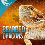 Bearded Dragons