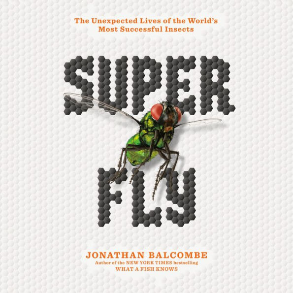 Super Fly: The Unexpected Lives of the World's Most Successful Insects