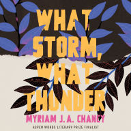 What Storm, What Thunder: A Novel