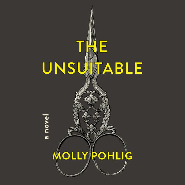 The Unsuitable: A Novel