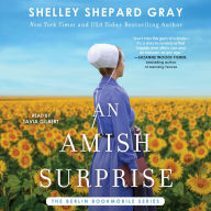 A Amish Surprise