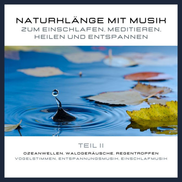 Naturklänge mit Musik zum Einschlafen, Meditieren, Heilen und Entspannen - Teil 2: Ozeanwellen, Waldgeräusche, Regentropfen, Vogelstimmen, Entspannungsmusik, Einschlafmusik