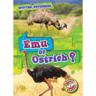 Emu or Ostrich?