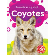 Coyotes