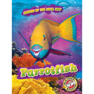 Parrotfish