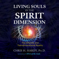 Living Souls in the Spirit Dimension: The Afterlife and Transdimensional Reality