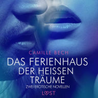 Das Ferienhaus der heißen Träume - zwei erotische Novellen