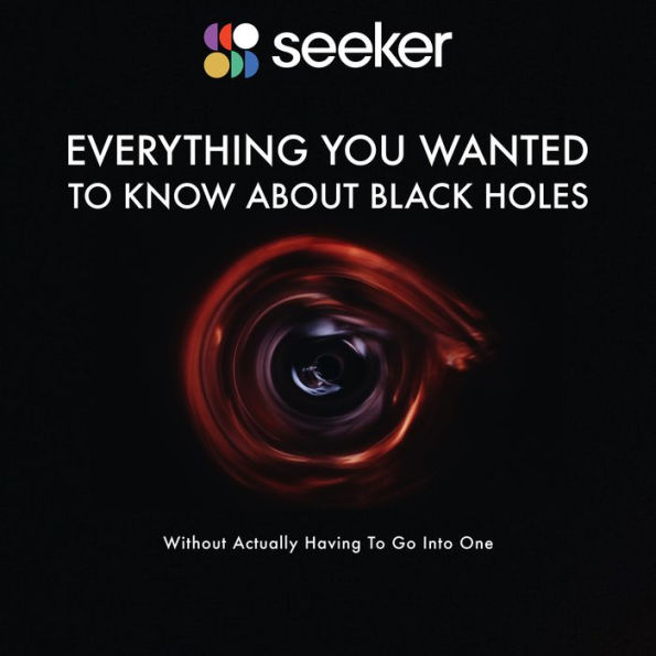 Everything You Wanted to Know About Black Holes: (Without Actually Having To Go Into One)