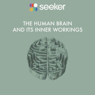 The Human Brain and its Inner Workings