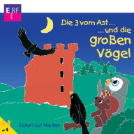 11: Die 3 vom Ast und die großen Vögel: Die 3 vom Ast