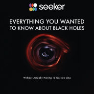 Everything You Wanted to Know About Black Holes: (Without Actually Having To Go Into One)