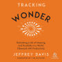 Tracking Wonder: Reclaiming a Life of Meaning and Possibility in a World Obsessed with Productivity