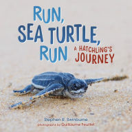 Run, Sea Turtle, Run: A Hatchling's Journey