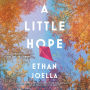 A Little Hope: A Novel