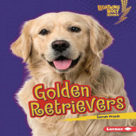 Golden Retrievers