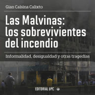 Las Malvinas: los sobrevivientes del incendio: Informalidad, desigualdad y otras tragedias (Abridged)