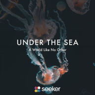 Under the Sea: A World Like No Other