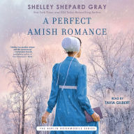 A Perfect Amish Romance