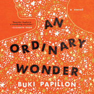 An Ordinary Wonder: A Novel