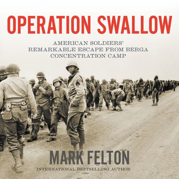 Operation Swallow: American Soldiers' Remarkable Escape from Berga Concentration Camp