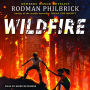 Wildfire: A Novel