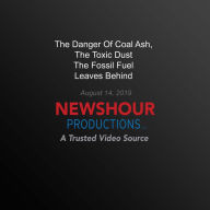 The Danger Of Coal Ash Toxic Dust The Fossil Fuel Leaves Behind